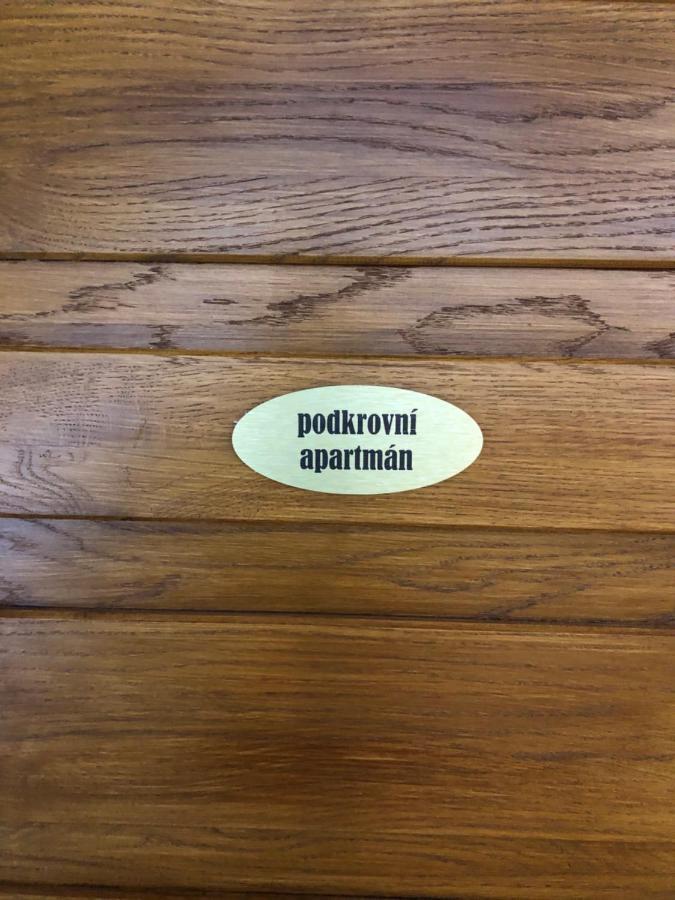 Apartmany U Vleku - Podkrovni Apartman Карлова-Студанка Экстерьер фото