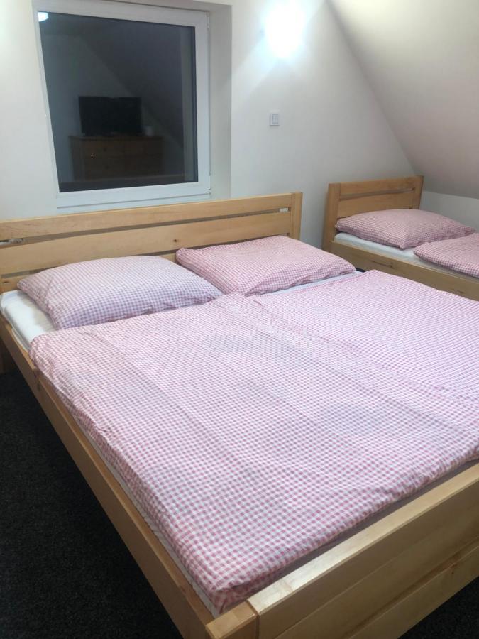 Apartmany U Vleku - Podkrovni Apartman Карлова-Студанка Экстерьер фото